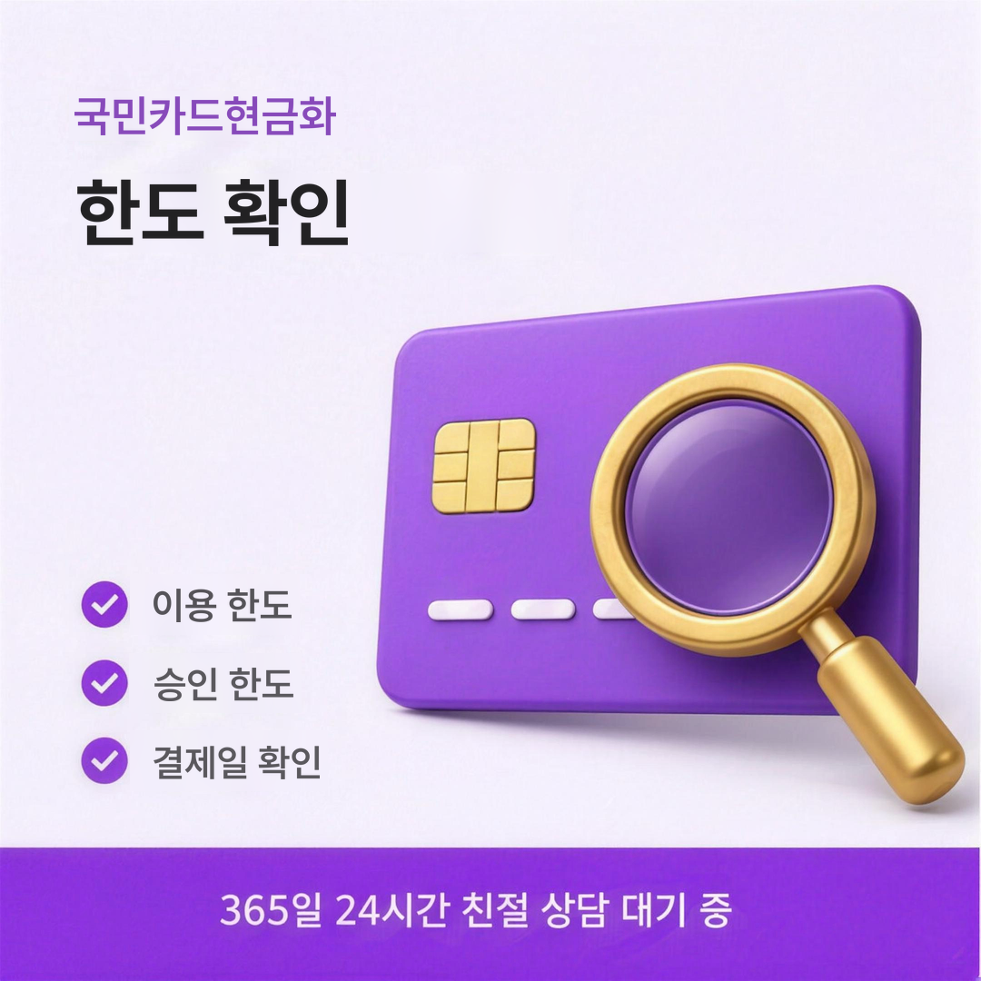 다음머니 국민카드현금화 한도 확인 안내